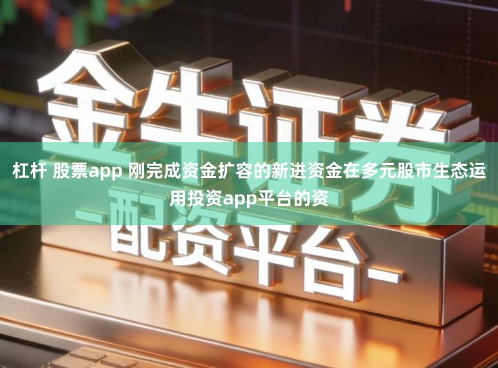 杠杆 股票app 刚完成资金扩容的新进资金在多元股市生态运用投资app平台的资