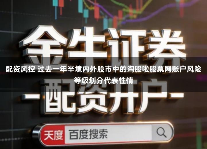 配资风控 过去一年半境内外股市中的淘股啦股票网账户风险等级划分代表性情
